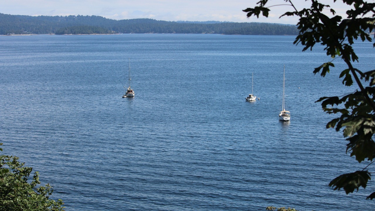 Photo of Others in Chemainus