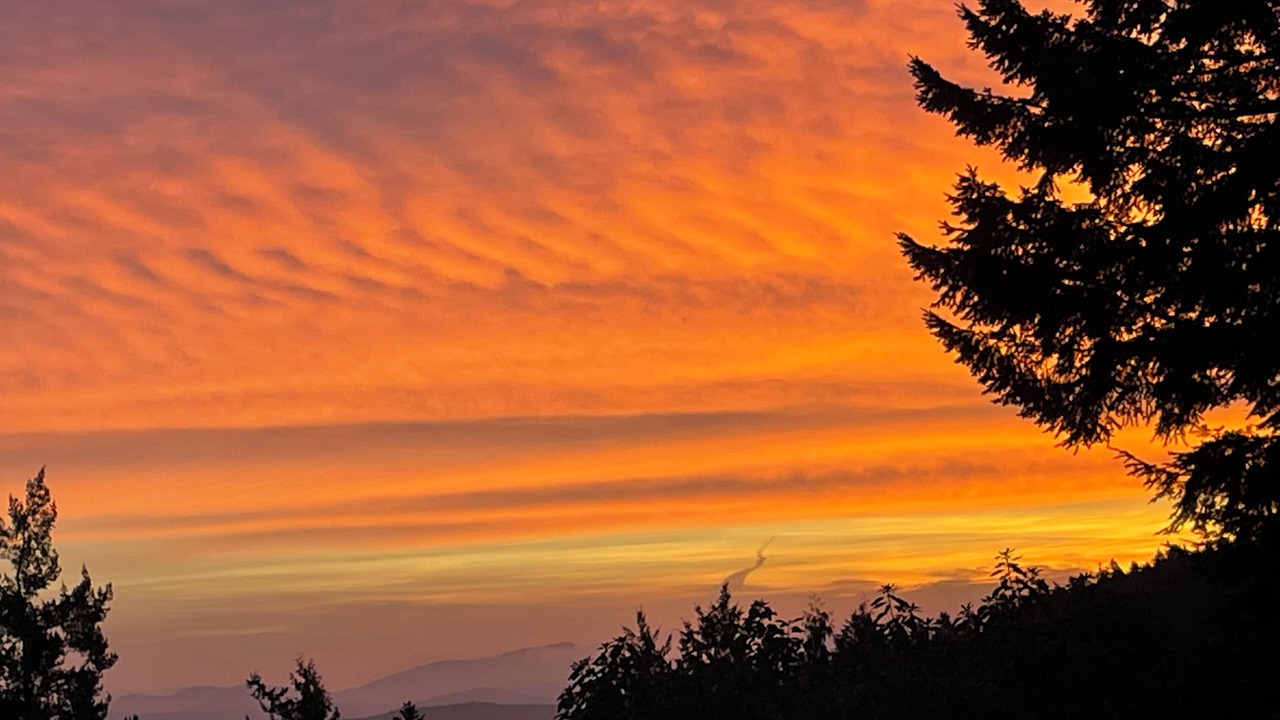 Photo of Others in Salt Spring Island