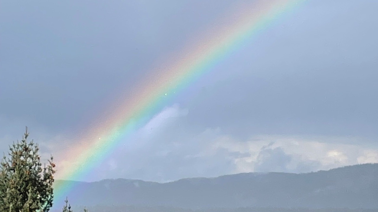 Photo of Others in Salt Spring Island