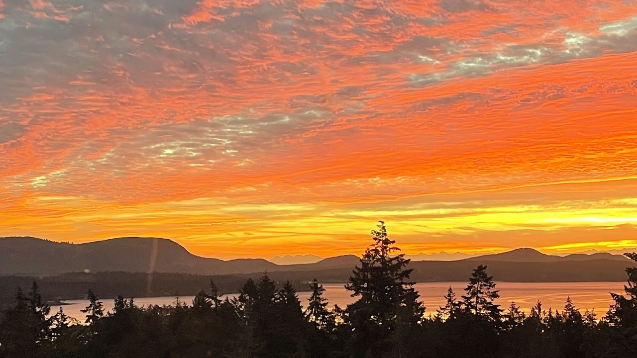 Photo of Others in Salt Spring Island