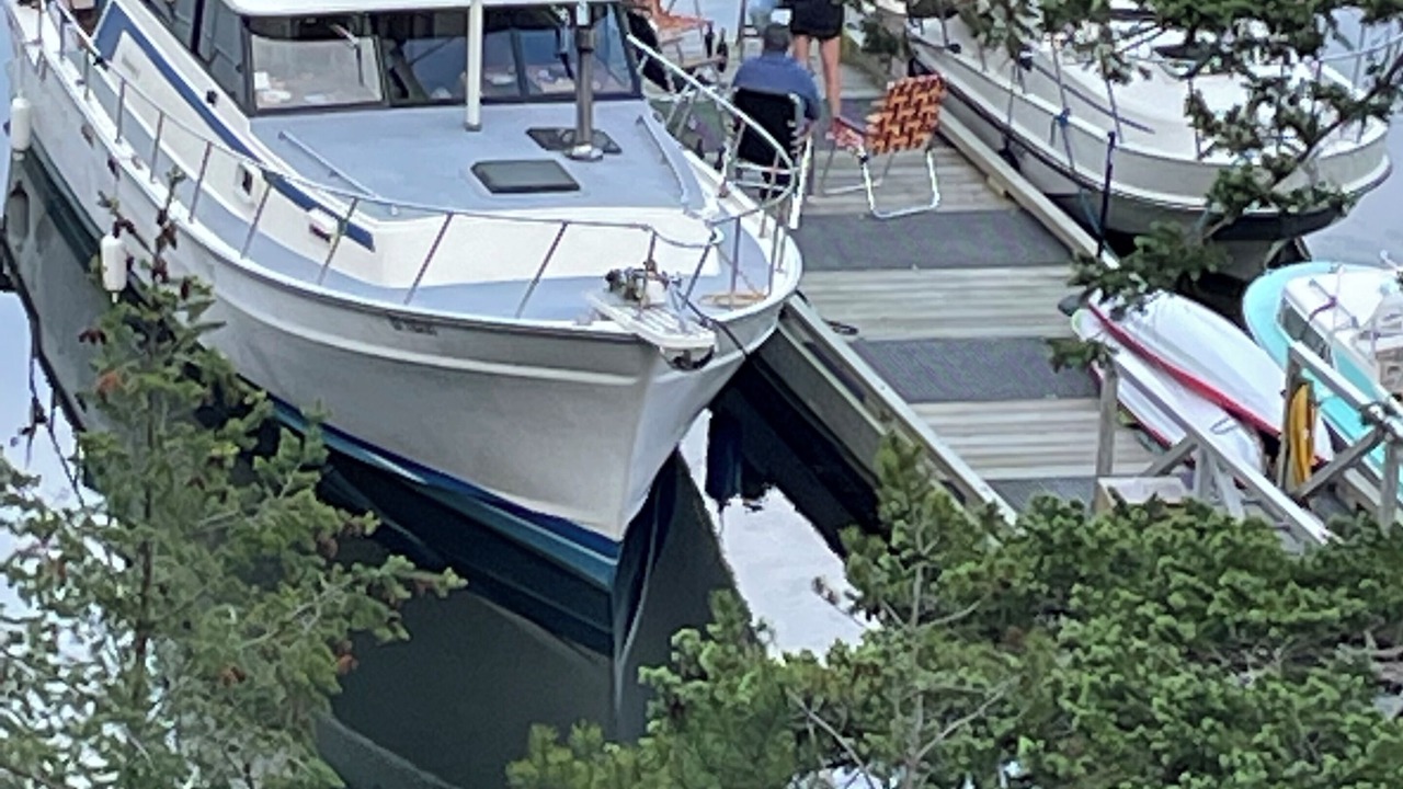 Photo of Others in Garden Bay