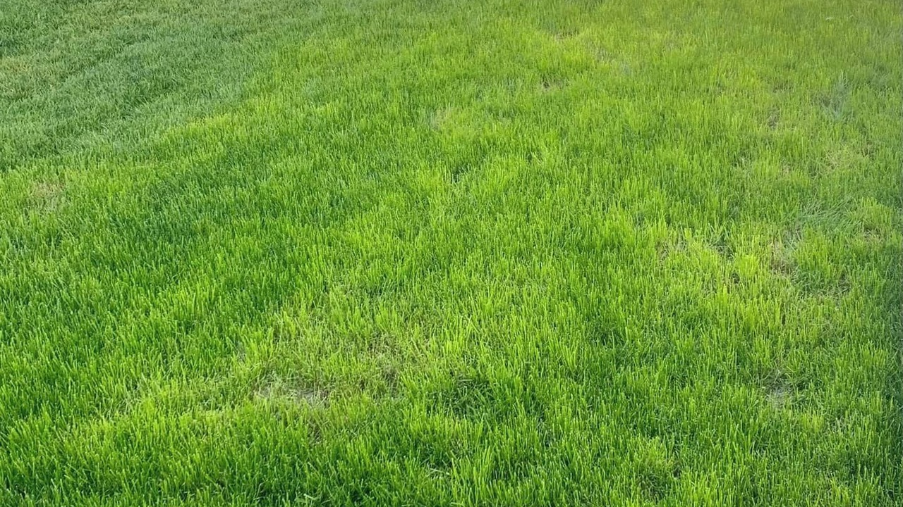 Photo of Outdoor in Delta