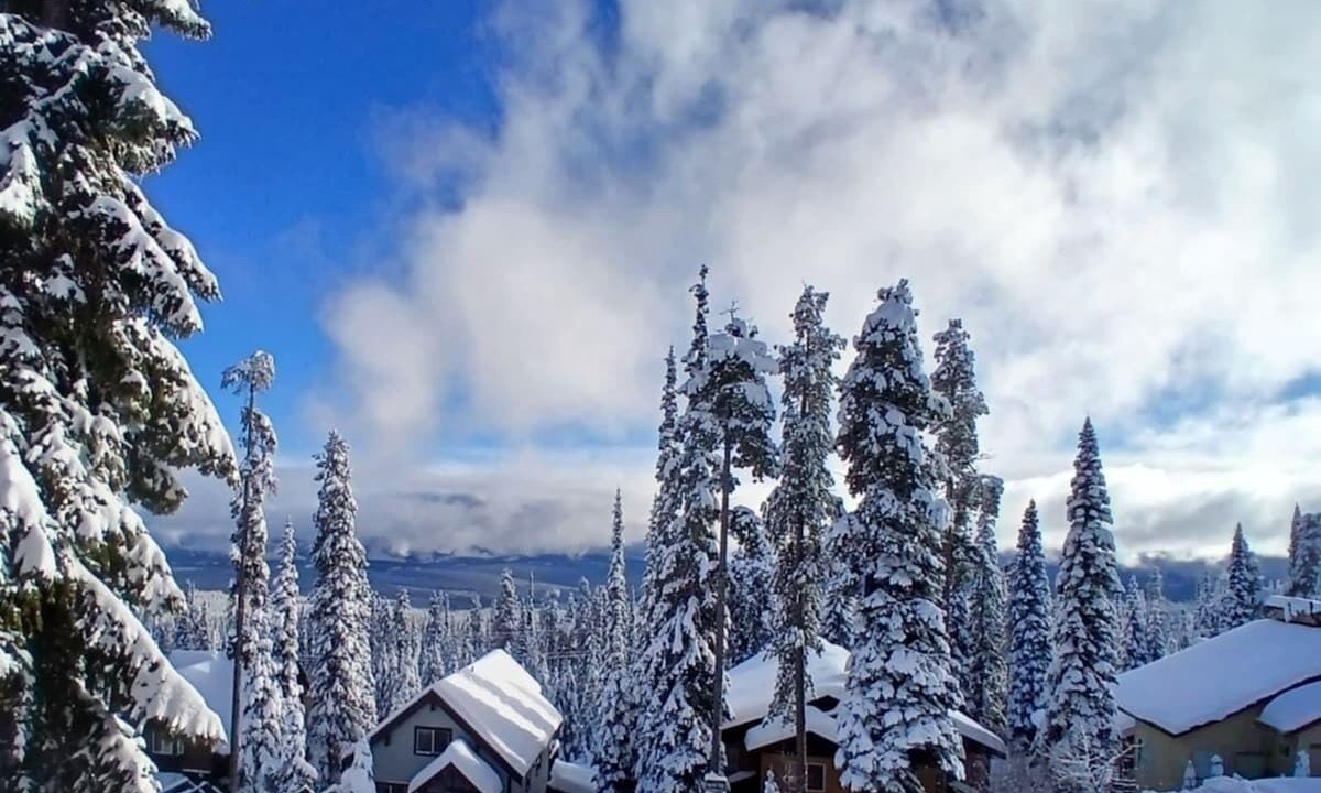 Photo of Others in Snow Pine Estates