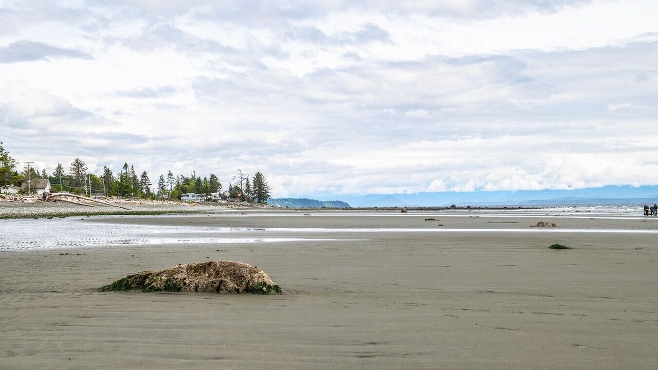 Photo of Others in Campbell River