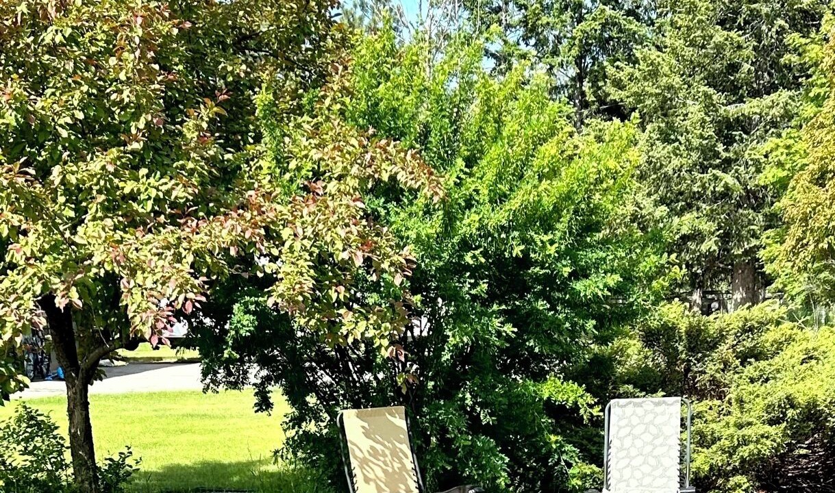 Photo of Outdoor in East Kootenay