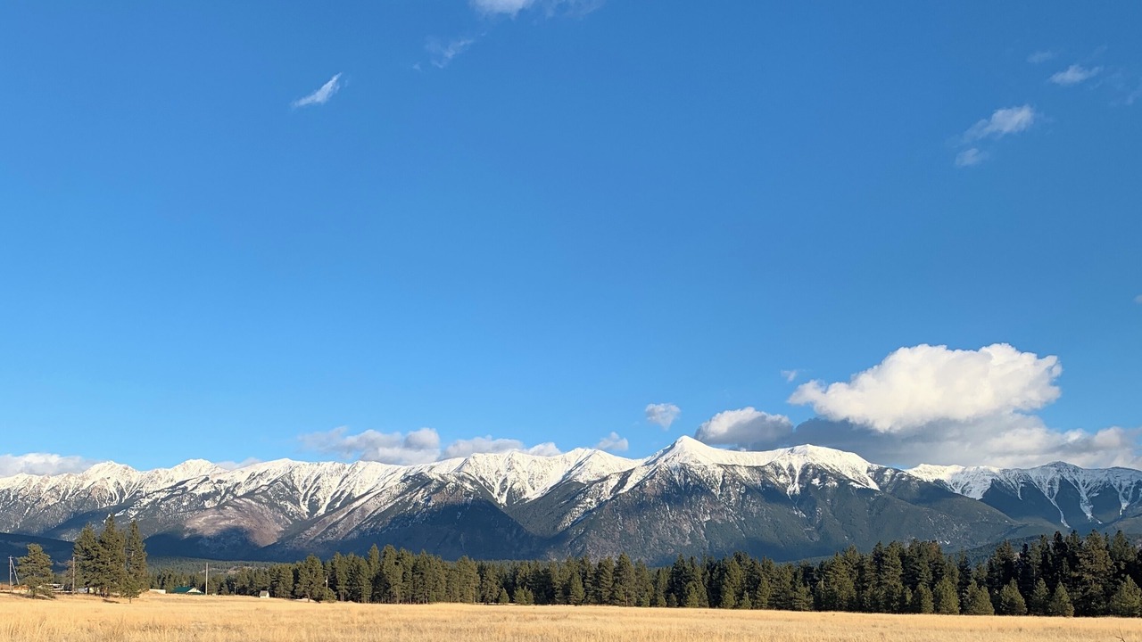 Photo of Others in East Kootenay