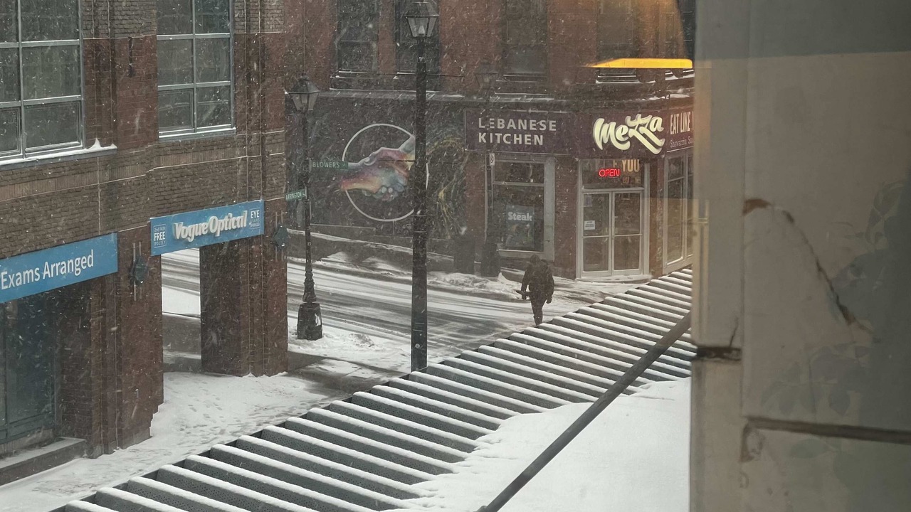 Photo of Others in Downtown Halifax