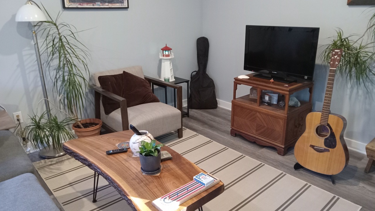 Photo of Livingroom in Halifax County