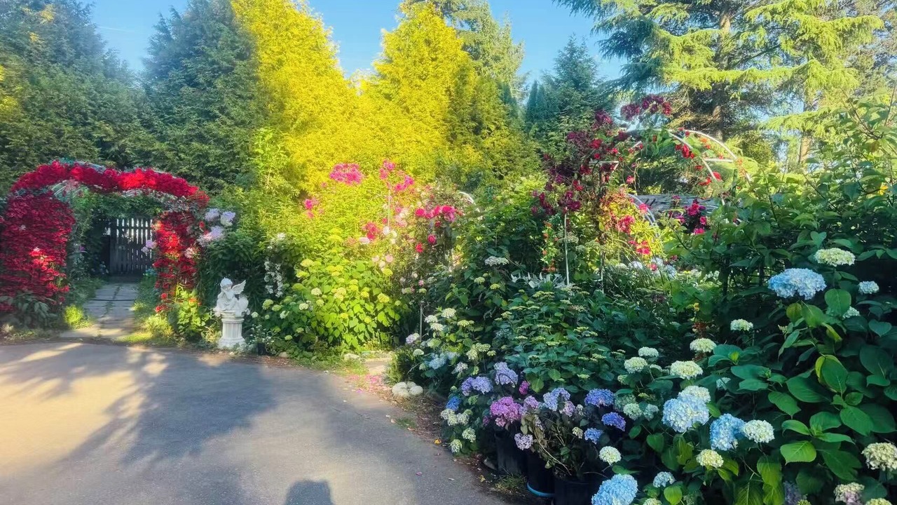 Photo of Outdoor in Surrey