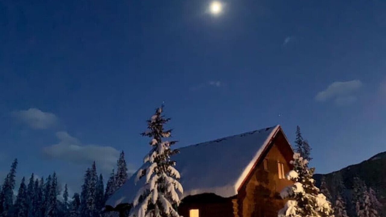 Photo of Outdoor in Golden