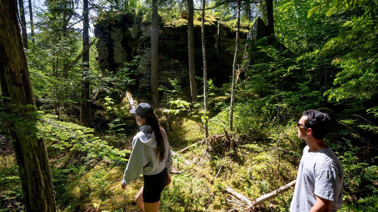 Photo of Others in Revelstoke