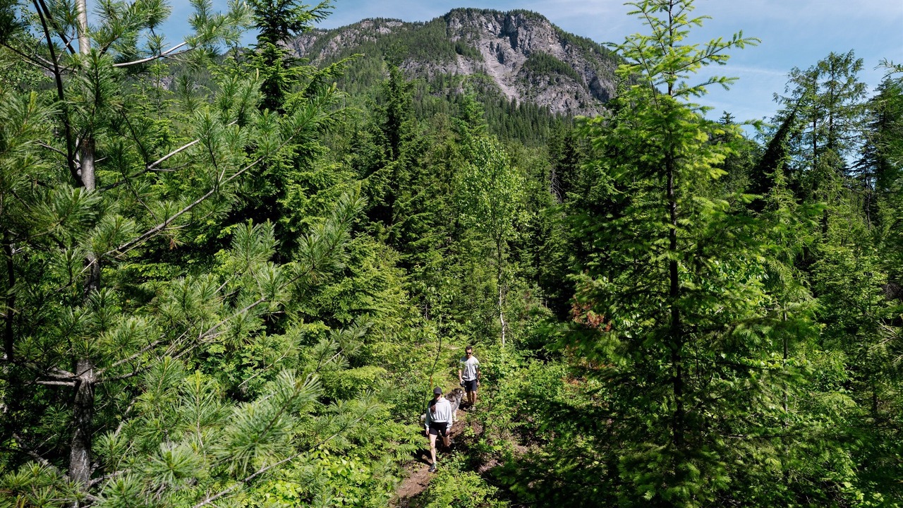 Photo of Others in Revelstoke