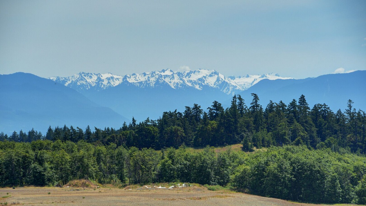 Photo of Others in Langford