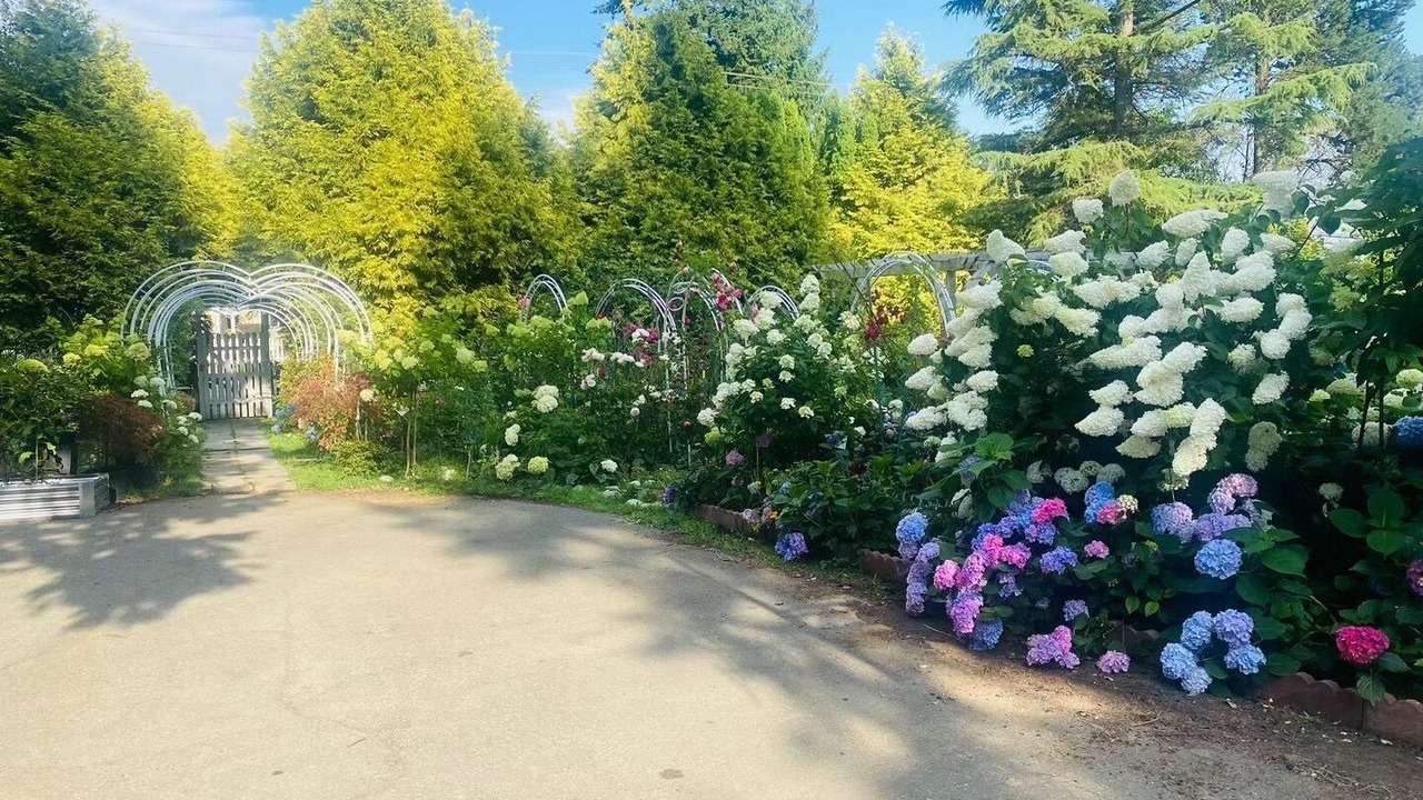 Photo of Outdoor in Surrey