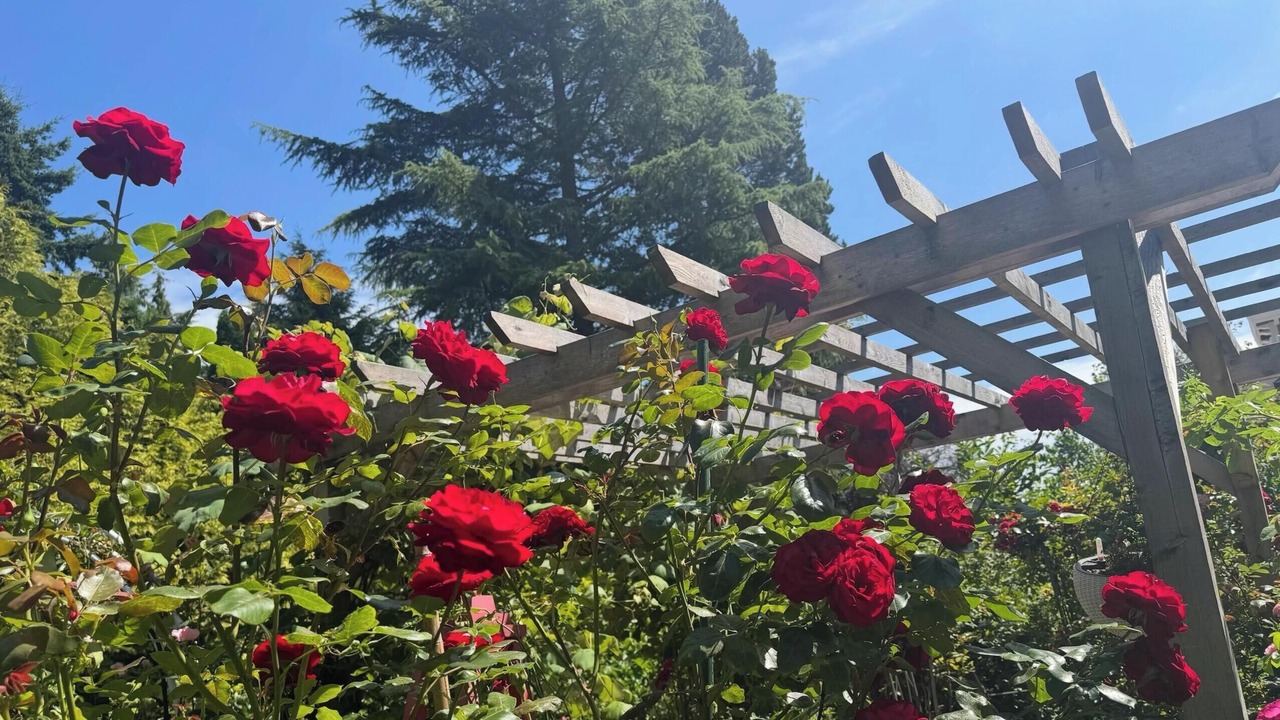 Photo of Outdoor in Surrey