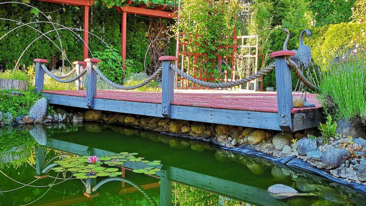 Photo of Outdoor in Maple Ridge