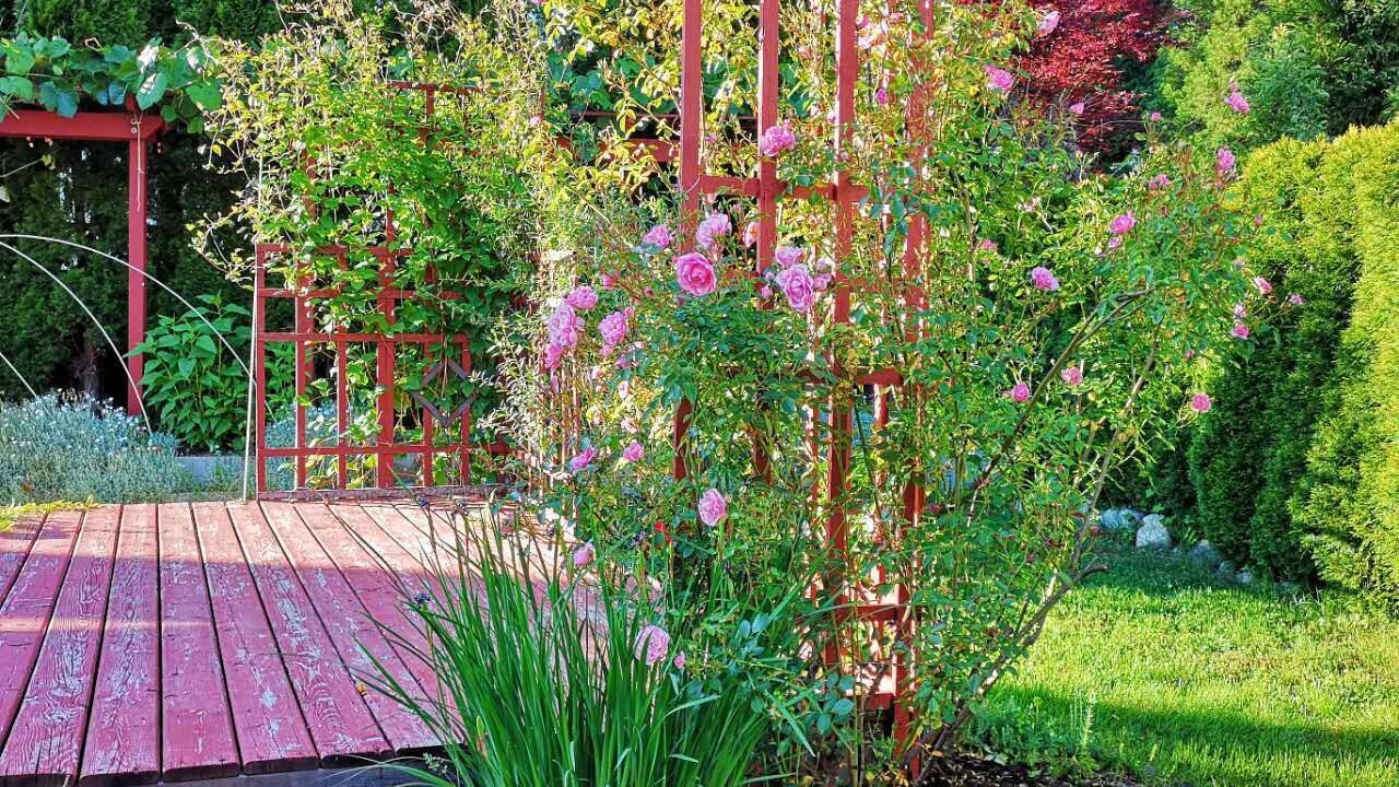 Photo of Outdoor in Maple Ridge