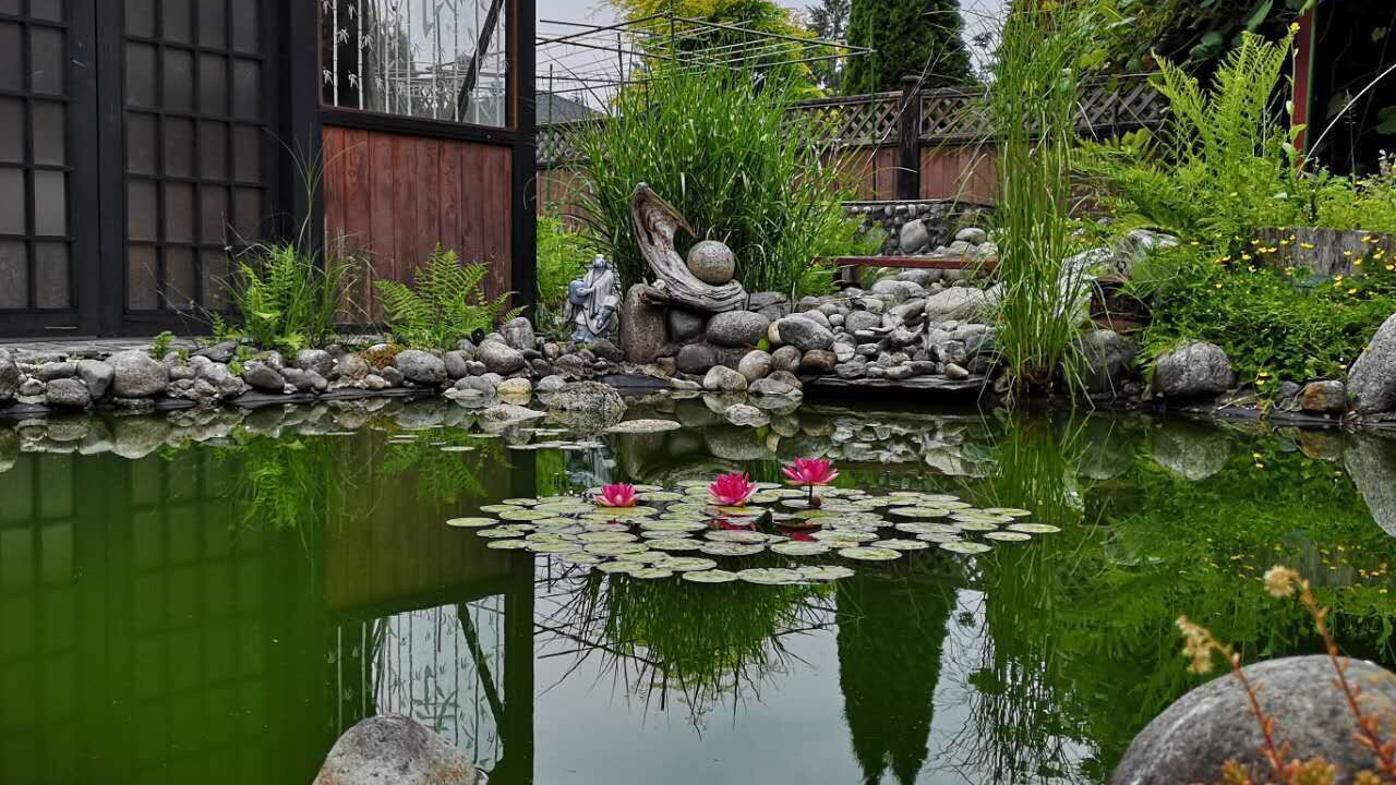 Photo of Outdoor in Maple Ridge
