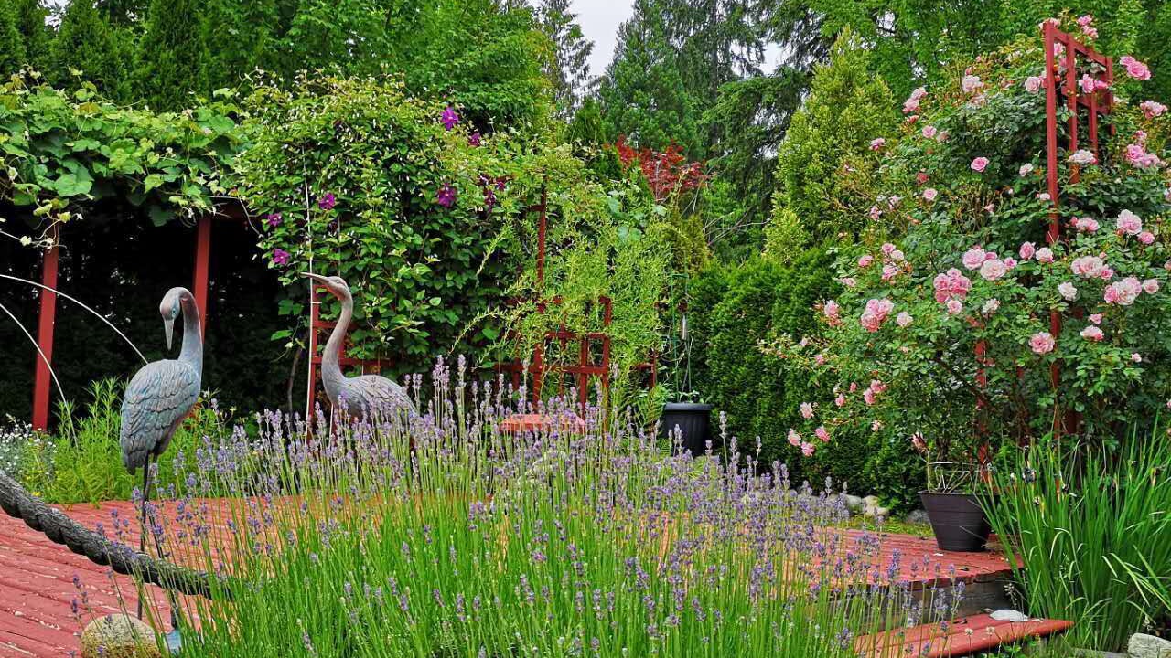 Photo of Outdoor in Maple Ridge