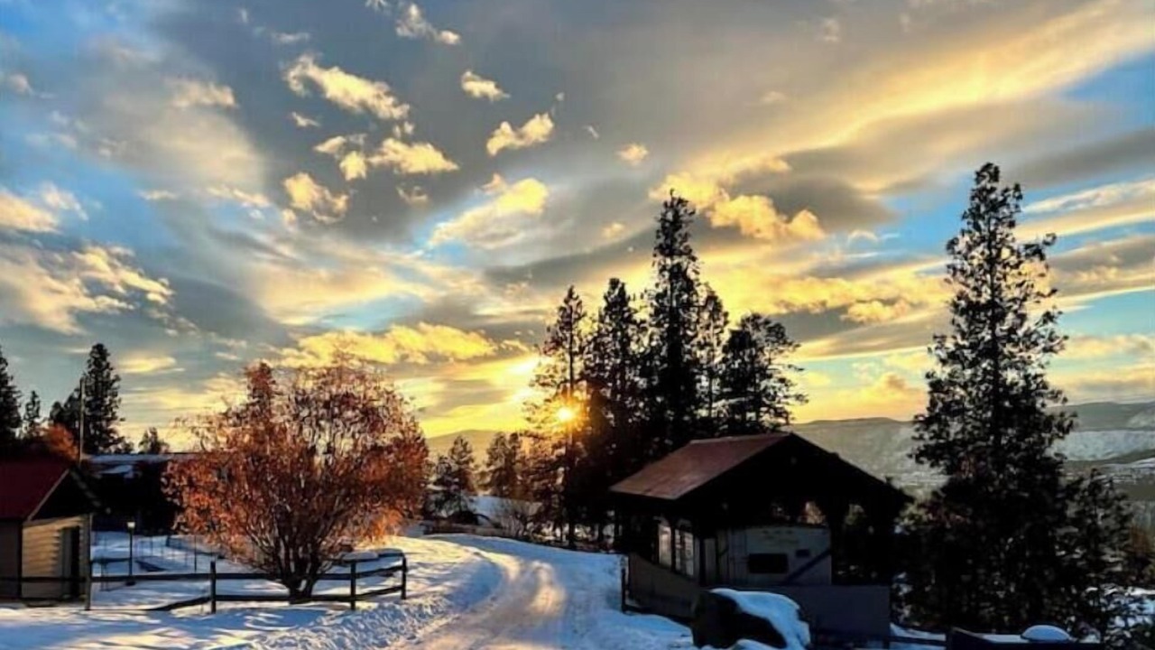 Photo of Others in Central Okanagan
