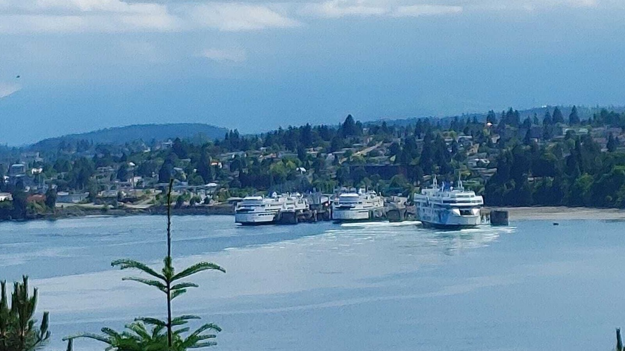 Photo of Others in Departure Bay