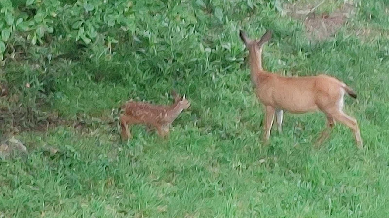 Photo of Others in Departure Bay