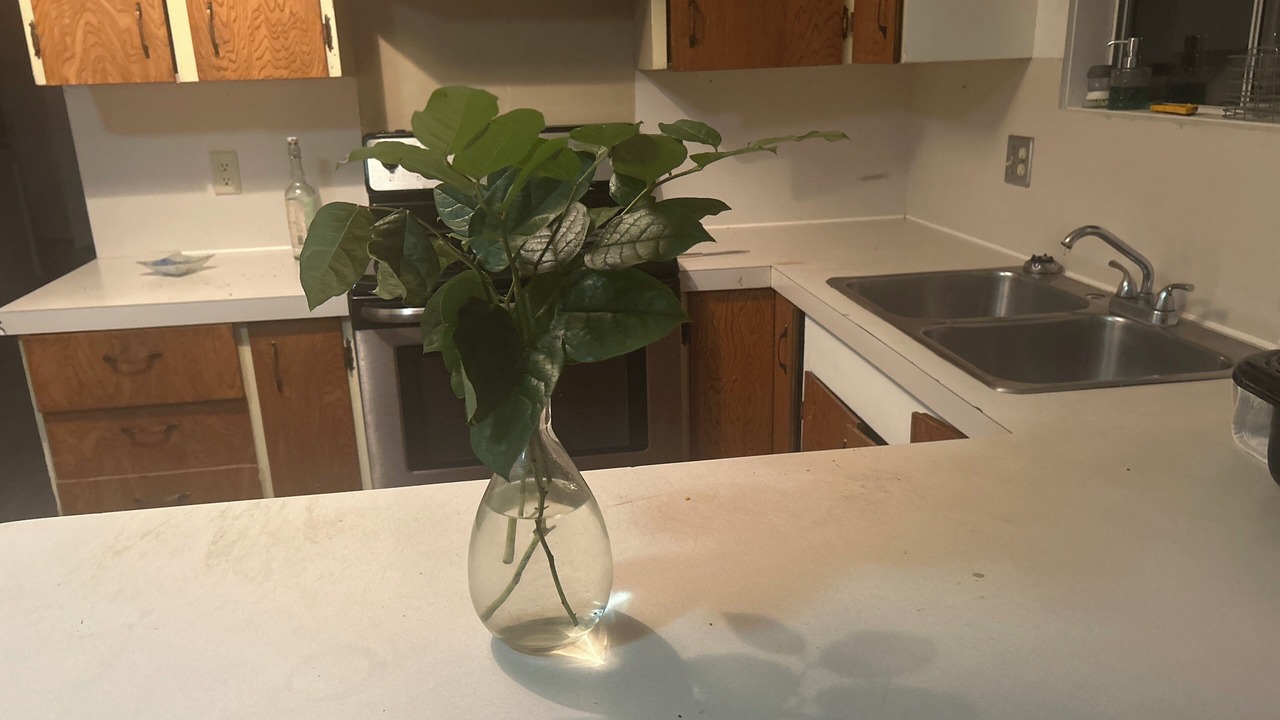 Photo of Kitchen in Black Creek
