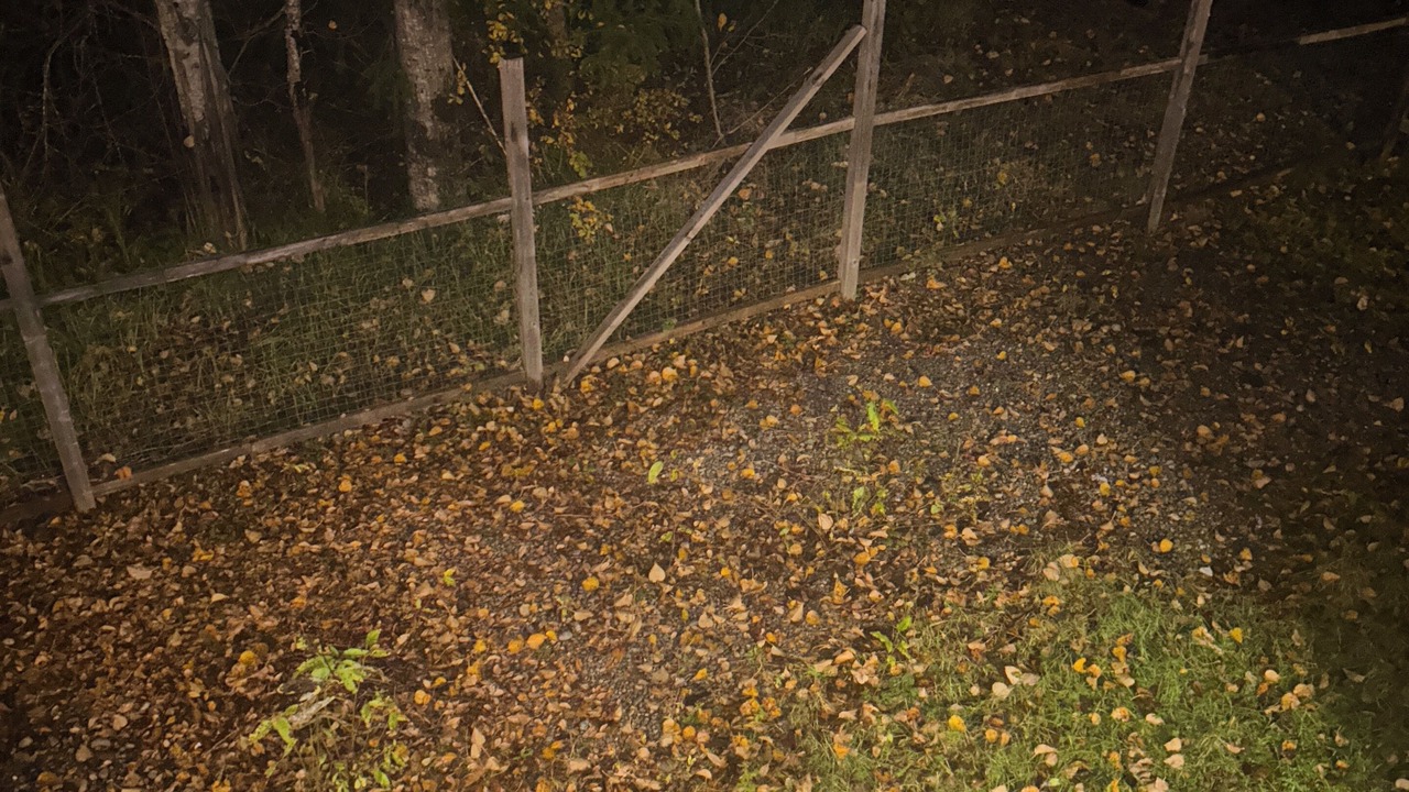 Photo of Outdoor in Black Creek
