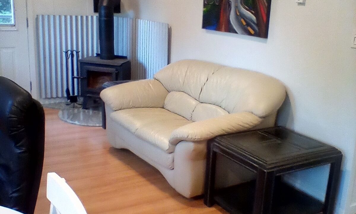 Photo of Livingroom in Youbou