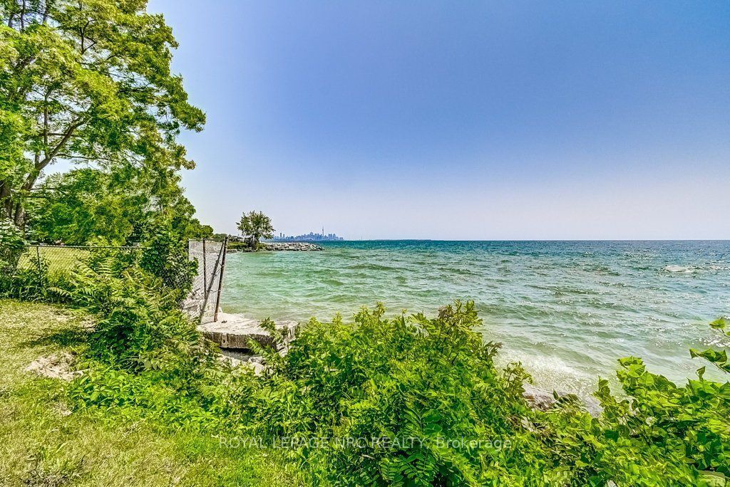 Photo of Others in New Toronto