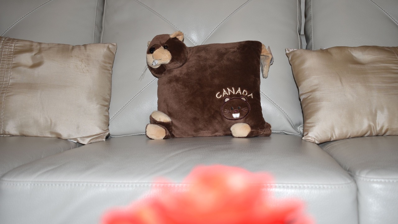Photo of Others in Gordon Head