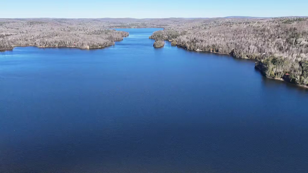 Photo of Others in Litchfield