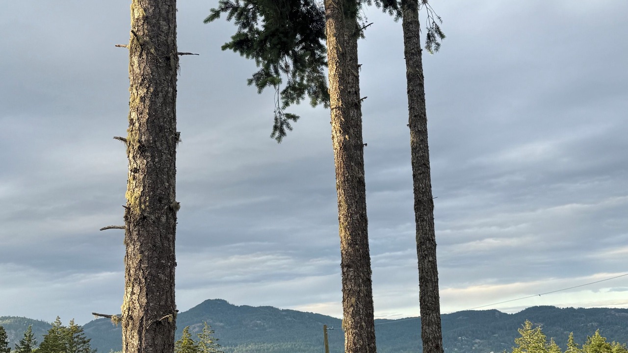 Photo of Others in East Sooke