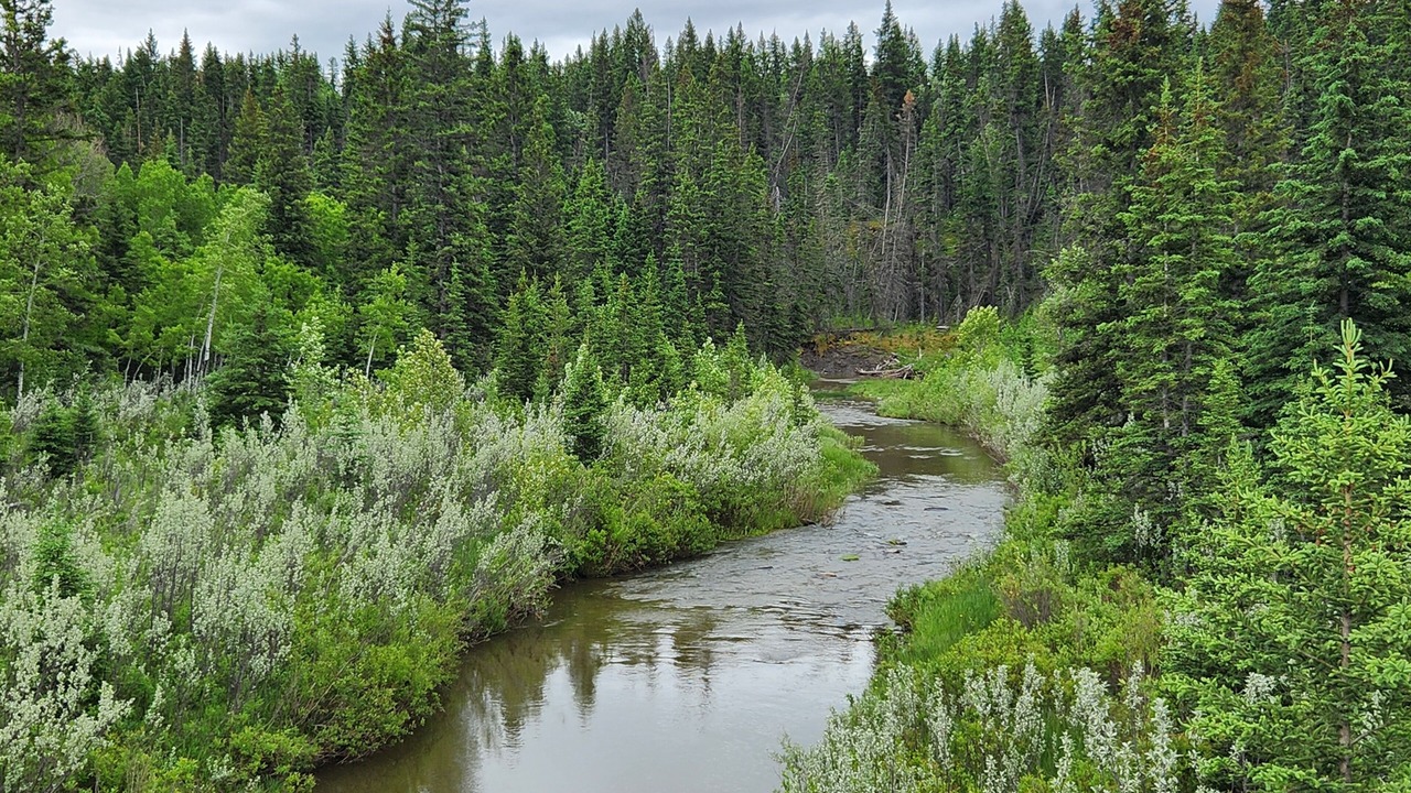 Photo of Others in Bragg Creek