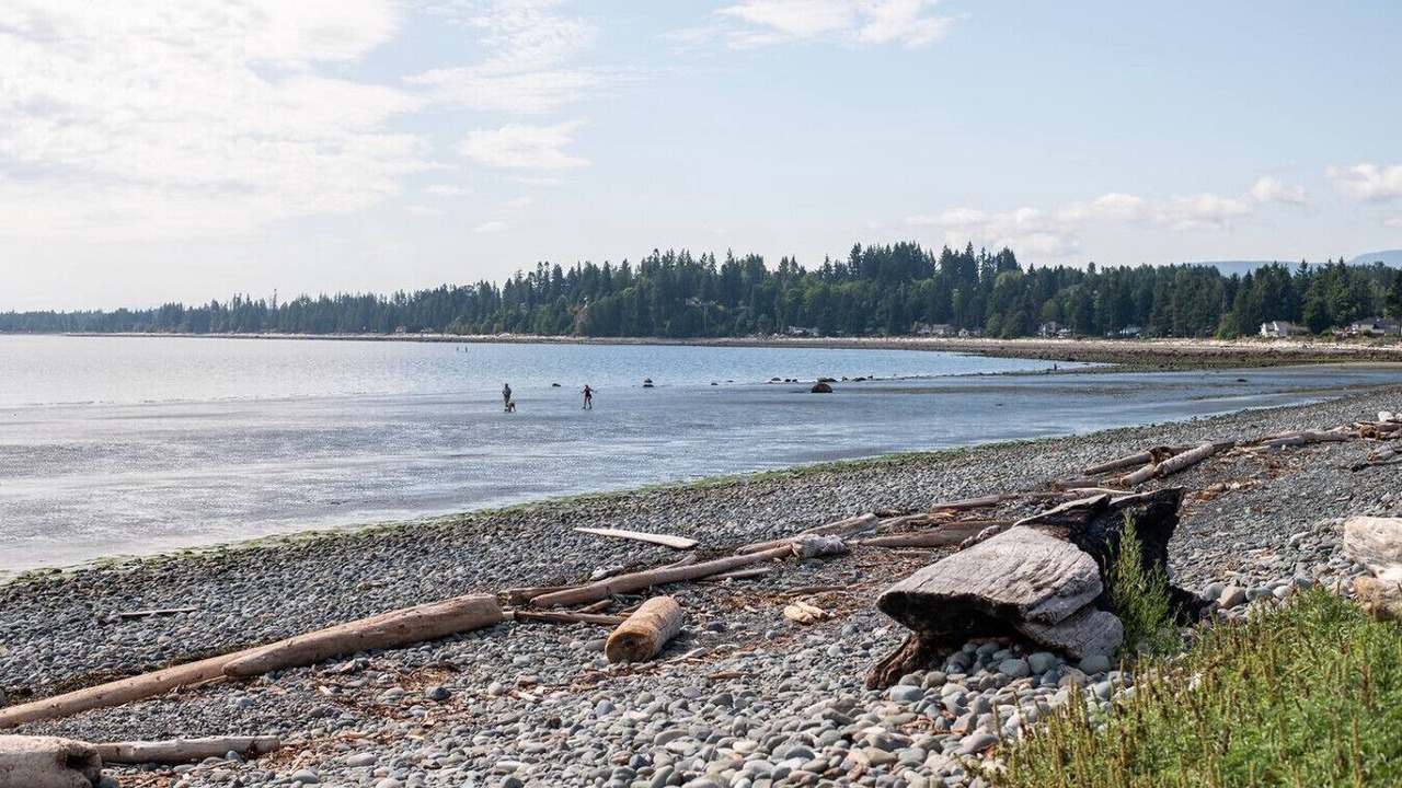 Photo of Others in Campbell River