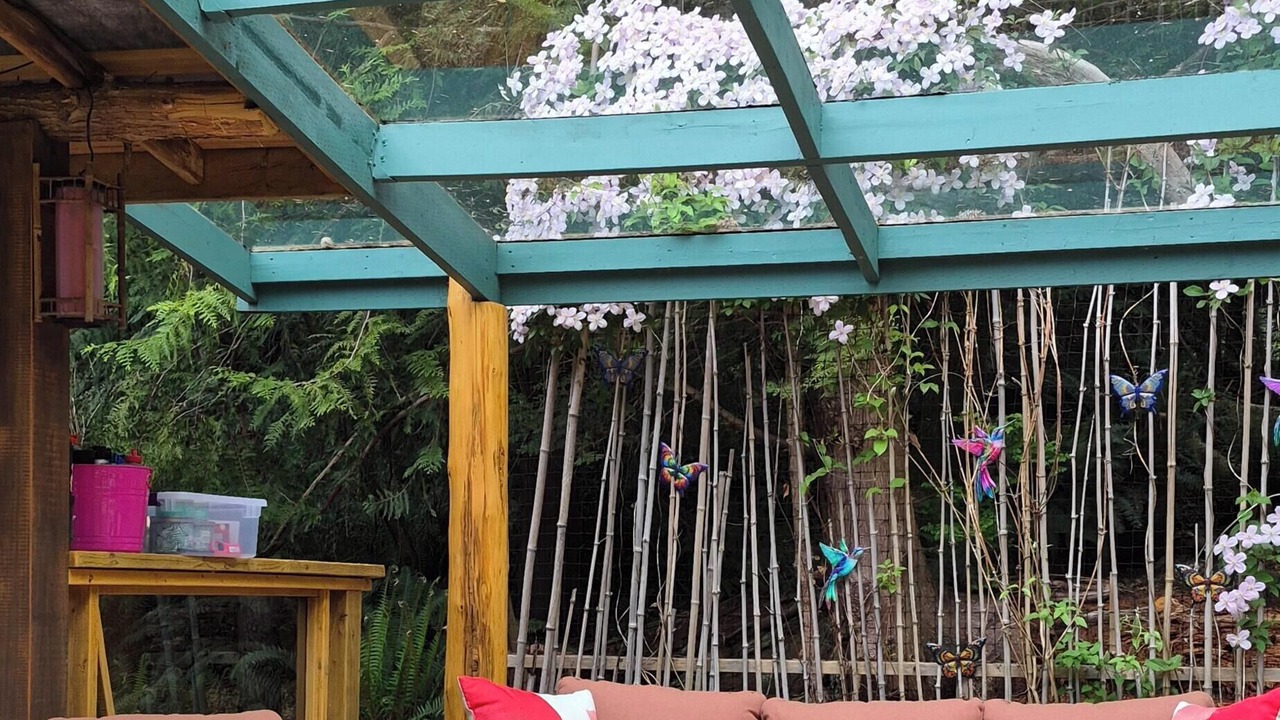 Photo of Outdoor in West Sechelt