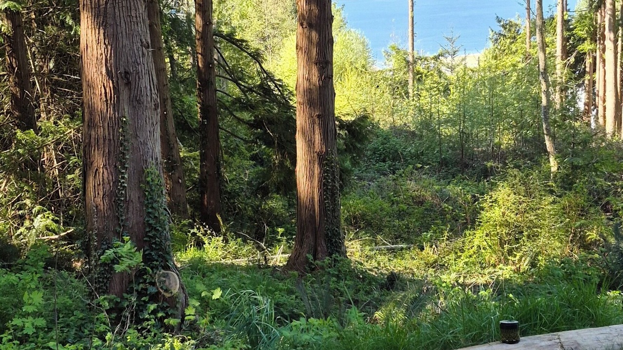 Photo of Others in West Sechelt
