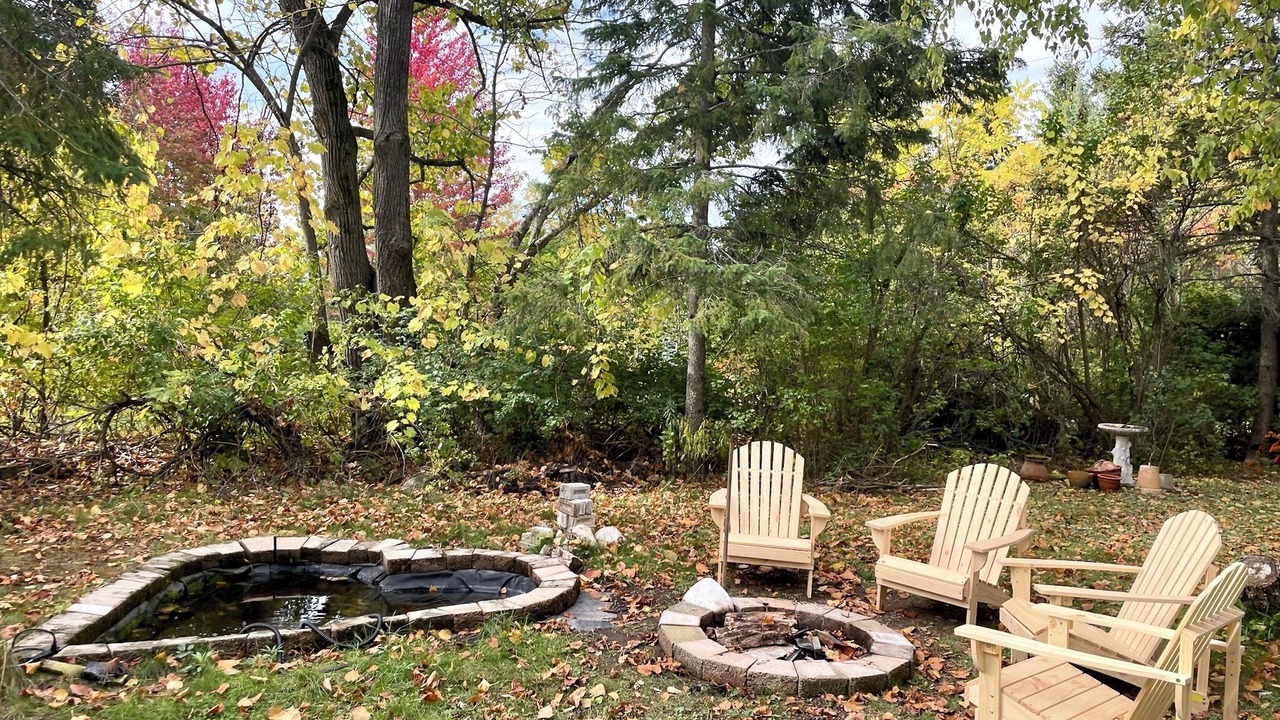 Photo of Outdoor in Roseneath