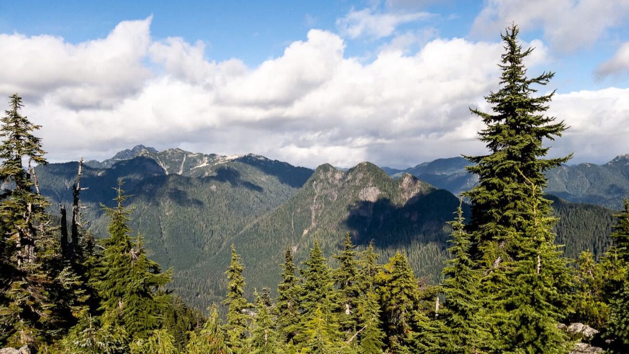 Photo of Others in Lynn Valley