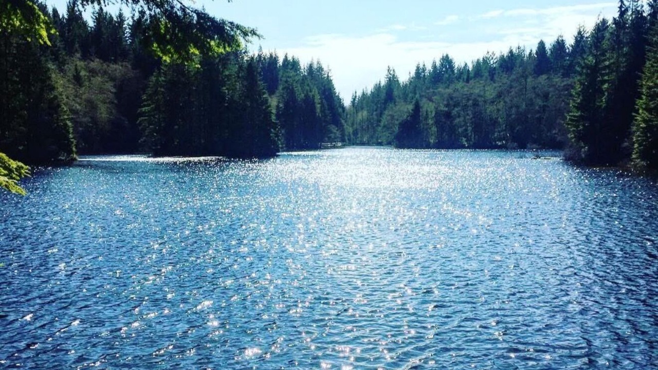 Photo of Others in Lynn Valley