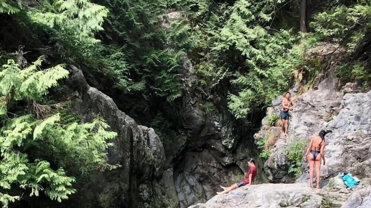 Photo of Others in Lynn Valley