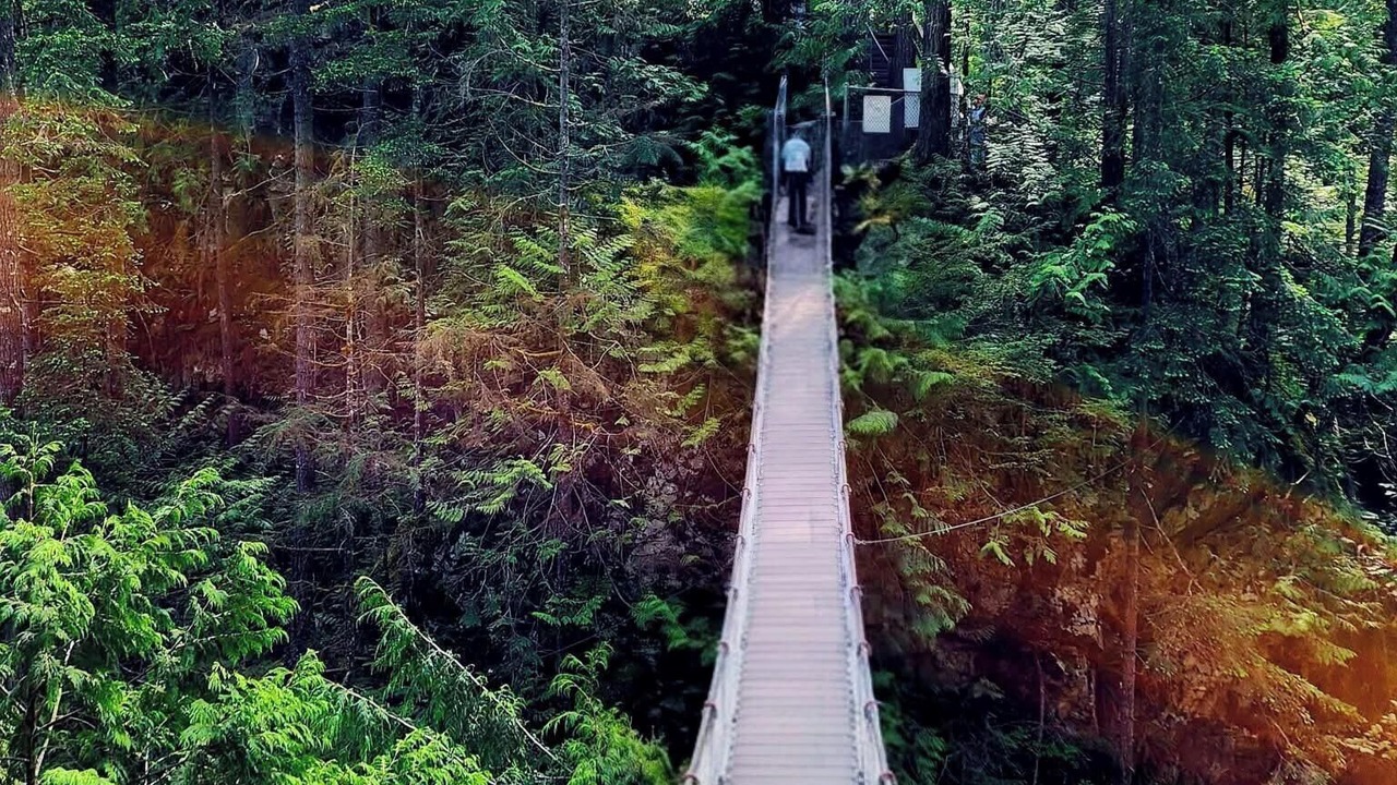 Photo of Others in Lynn Valley