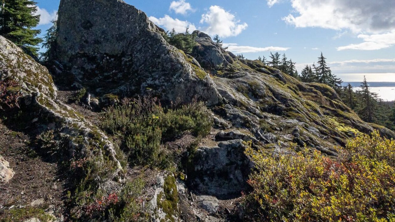 Photo of Others in Lynn Valley