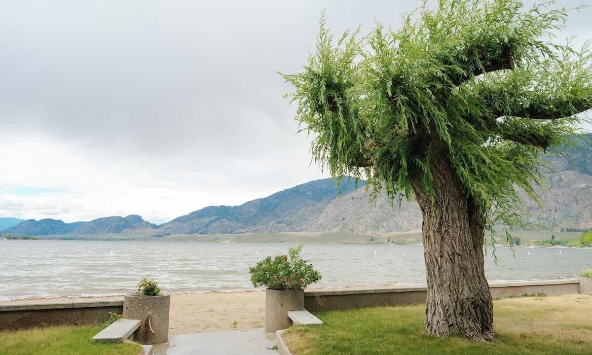 Photo of Others in Osoyoos