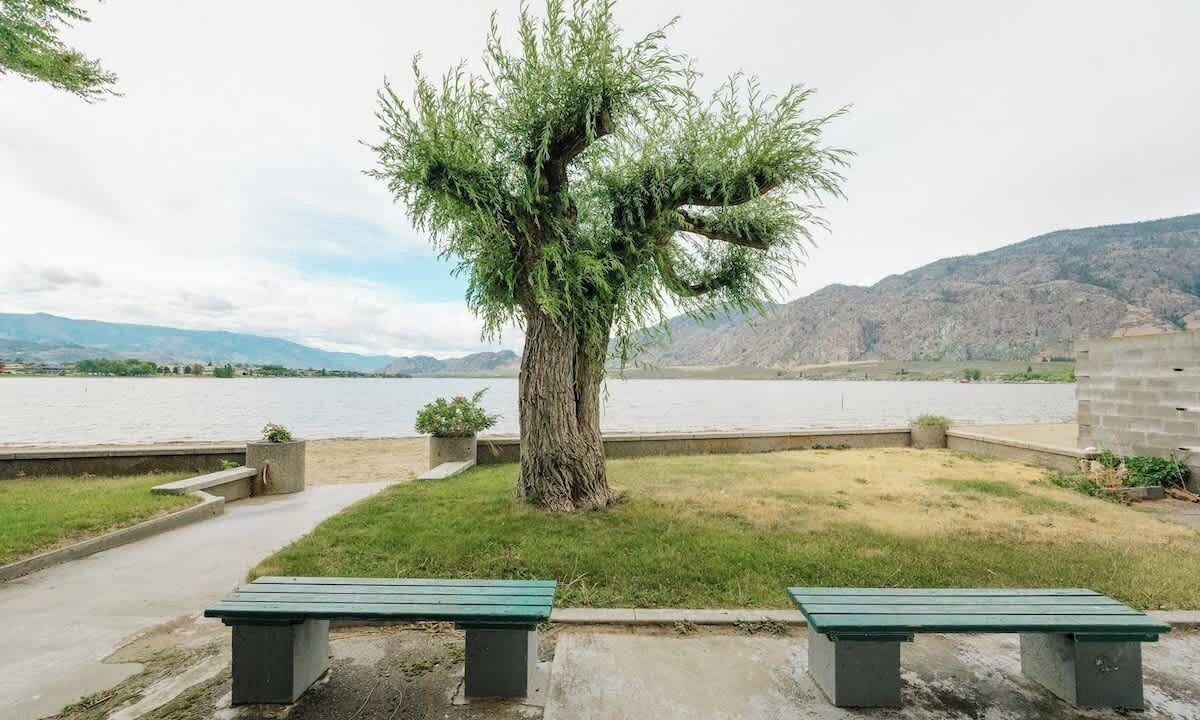 Photo of Outdoor in Osoyoos