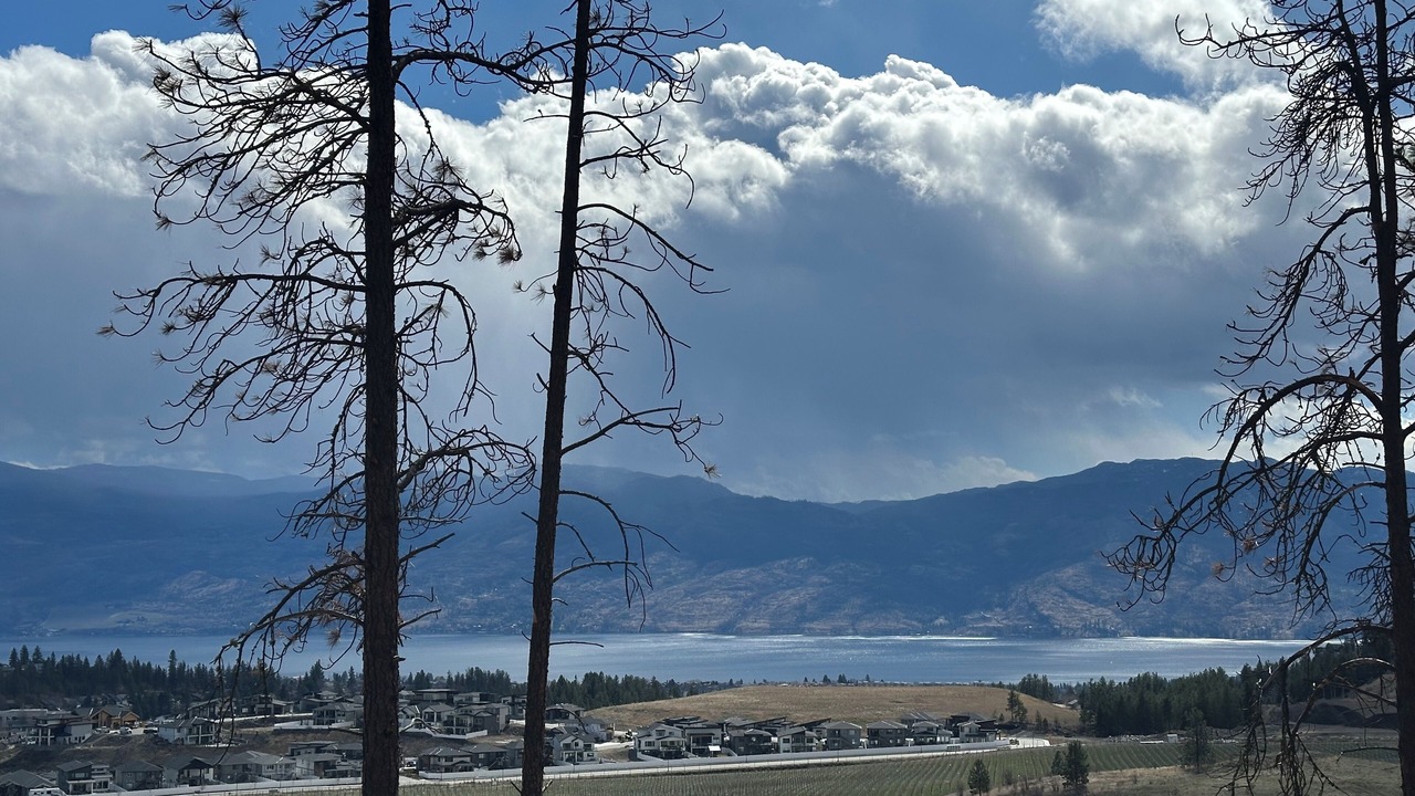 Photo of Others in Central Okanagan