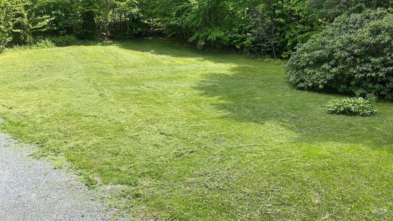 Photo of Others in East Hants