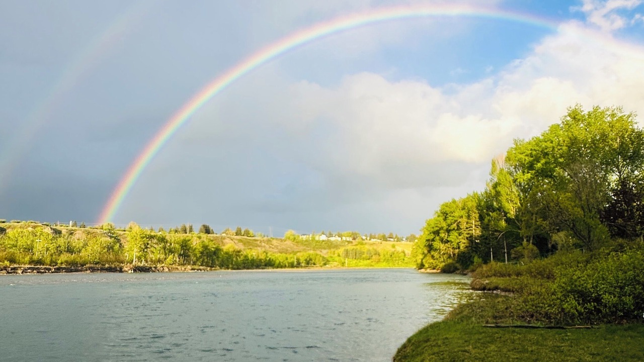 Photo of Others in Northwest Calgary