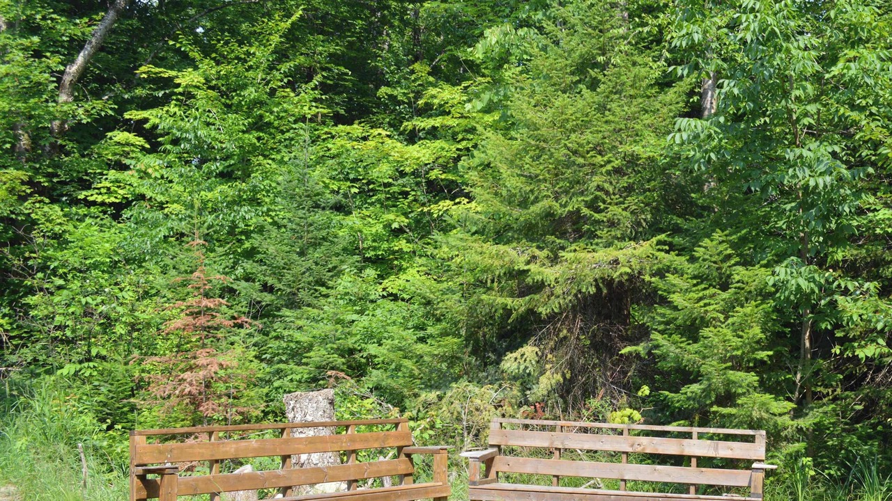 Photo of Outdoor in Burk's Falls