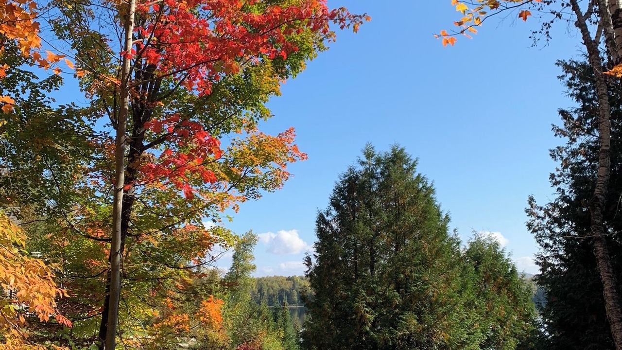 Photo of Others in Saint-Aime-du-Lac-des-Iles